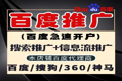 SEO与SEM服务结合的实战案例